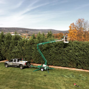 Fall pruning done right! 30 foot hedge?...No sweat! #yorkpa #mikesplc #treetrimming